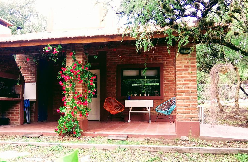 Dorado Del Sol *