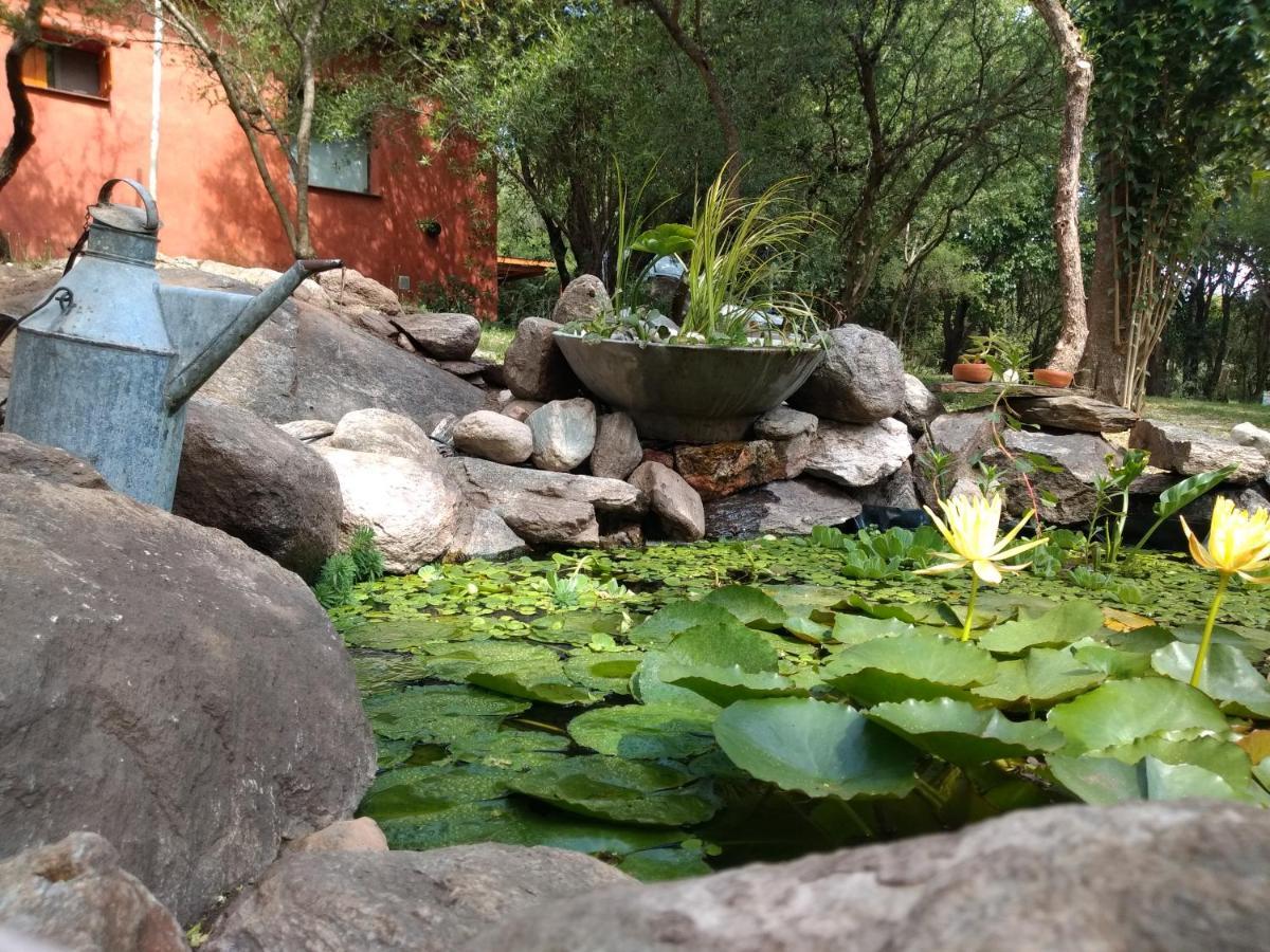 Dorado Del Sol *